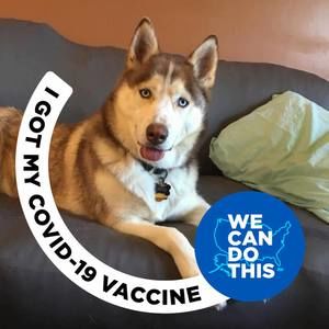 Meet your Posher, Anne